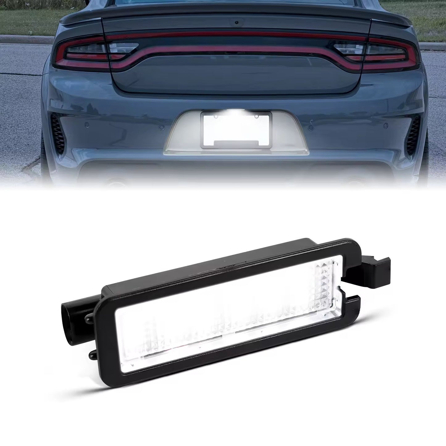 License Plate Lamp
